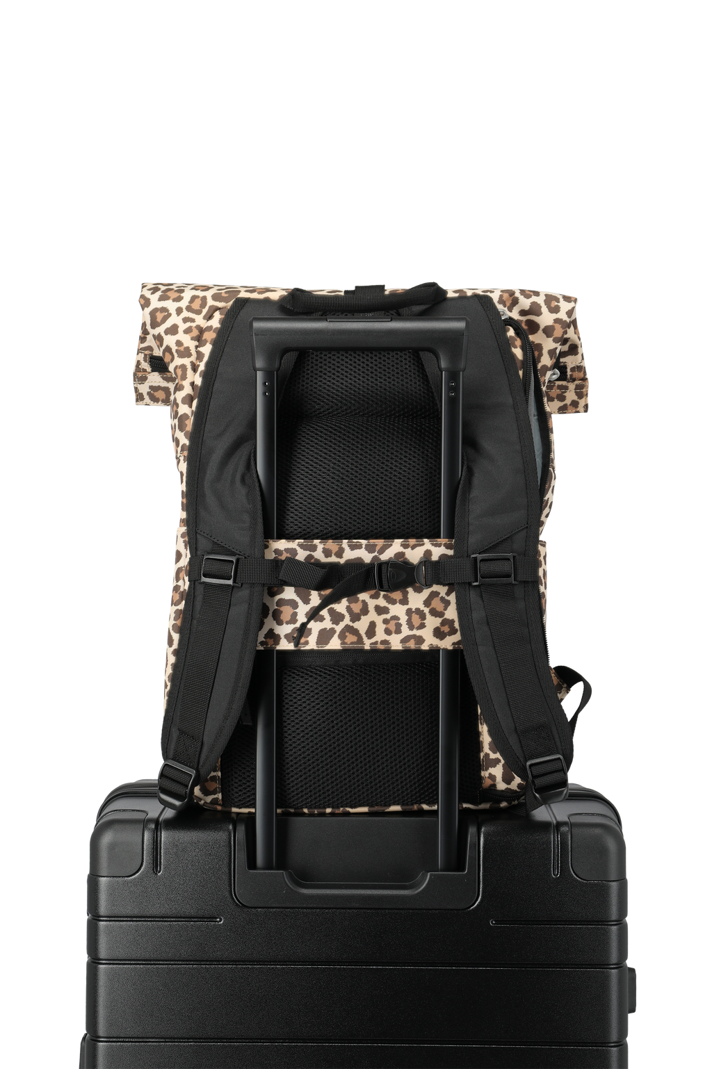 Travelite BASICS Rollup Rucksack, Leopard – Produktansicht 6