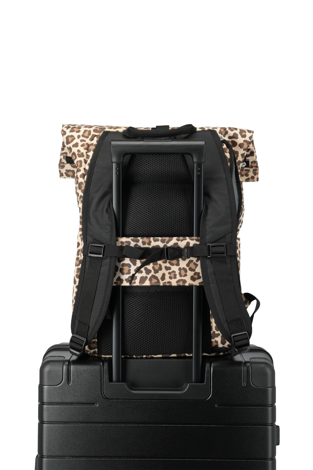 Travelite BASICS Rollup Rucksack, Leopard – Produktansicht 6