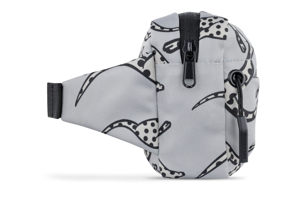 Chiemsee JUMP "N" FLY Bauchtasche, grau – Ansicht 4