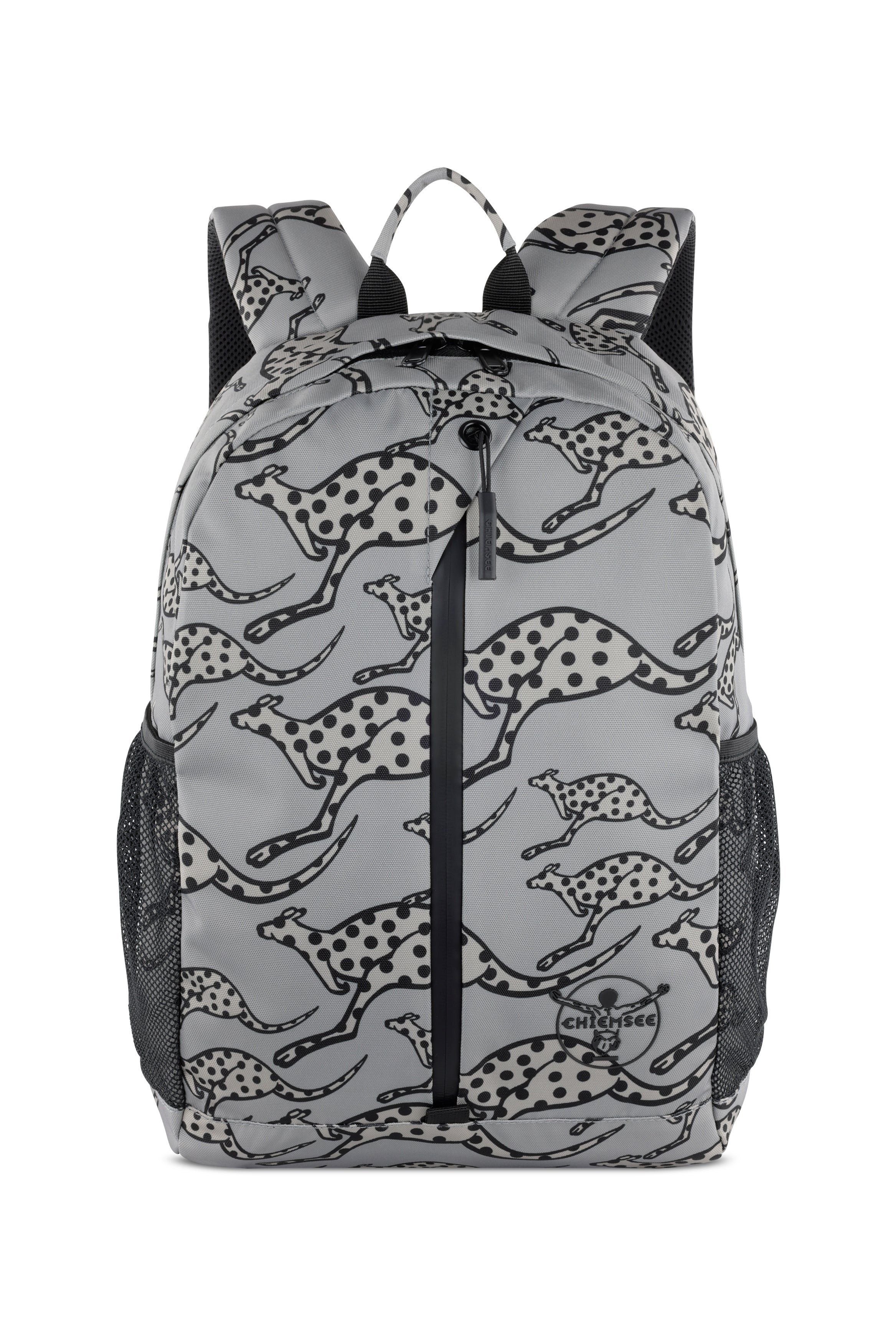Chiemsee JUMP "N" FLY Rucksack klein, grau – Ansicht 1