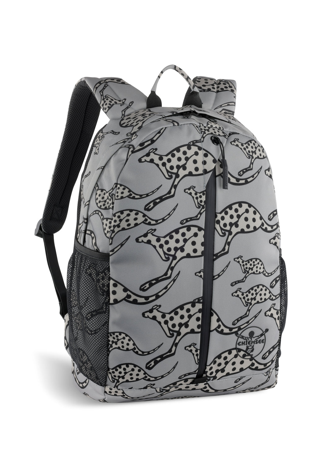 Chiemsee JUMP "N" FLY Rucksack klein, grau – Ansicht 2