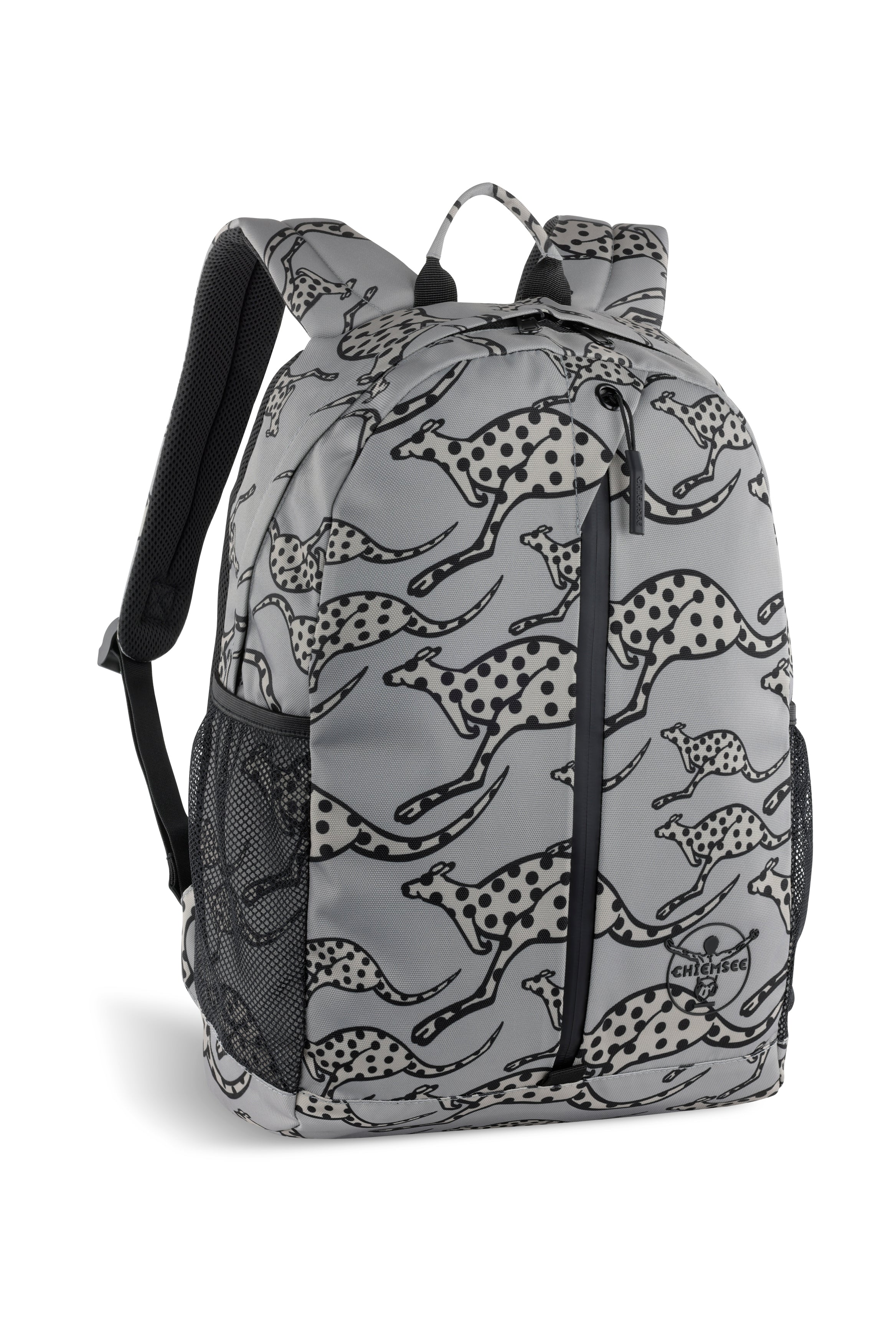 Chiemsee JUMP "N" FLY Rucksack klein, grau – Ansicht 2