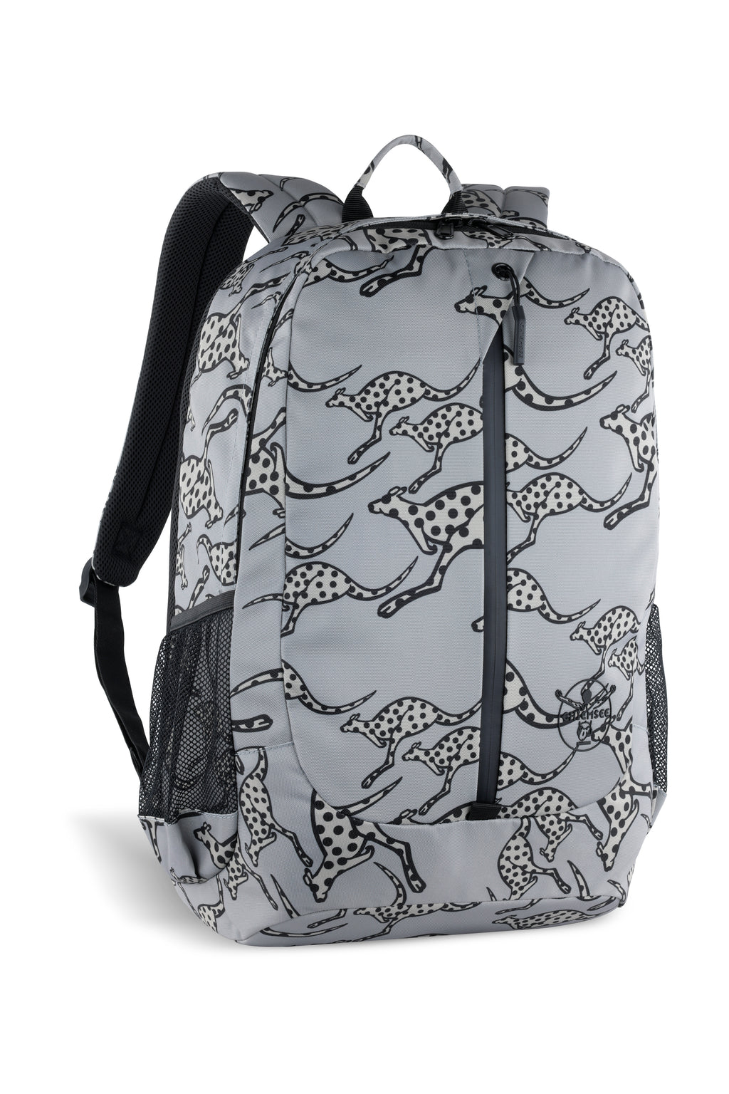 Chiemsee JUMP "N" FLY Rucksack groß, grau – Ansicht 2