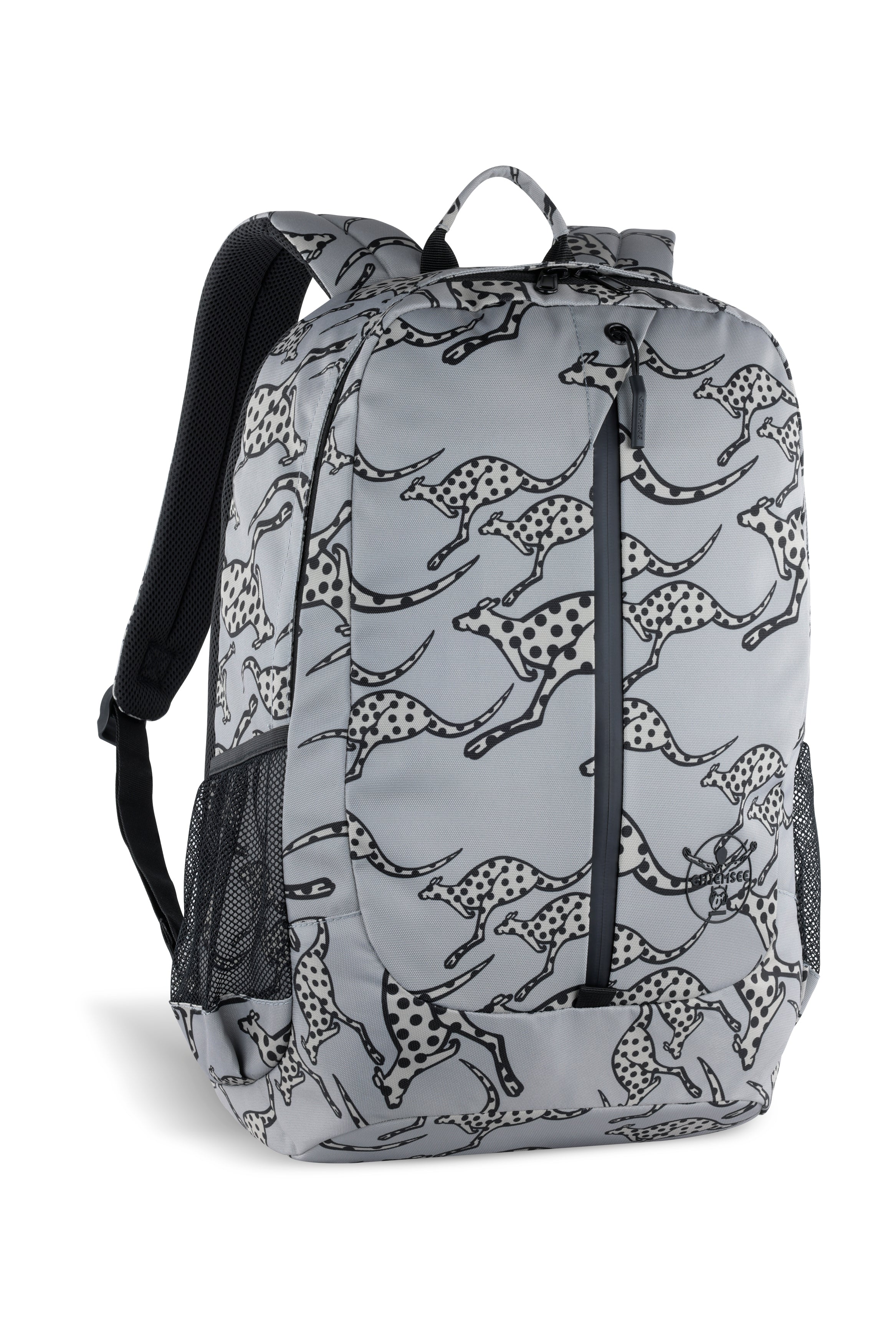 Chiemsee JUMP "N" FLY Rucksack groß, grau – Ansicht 2